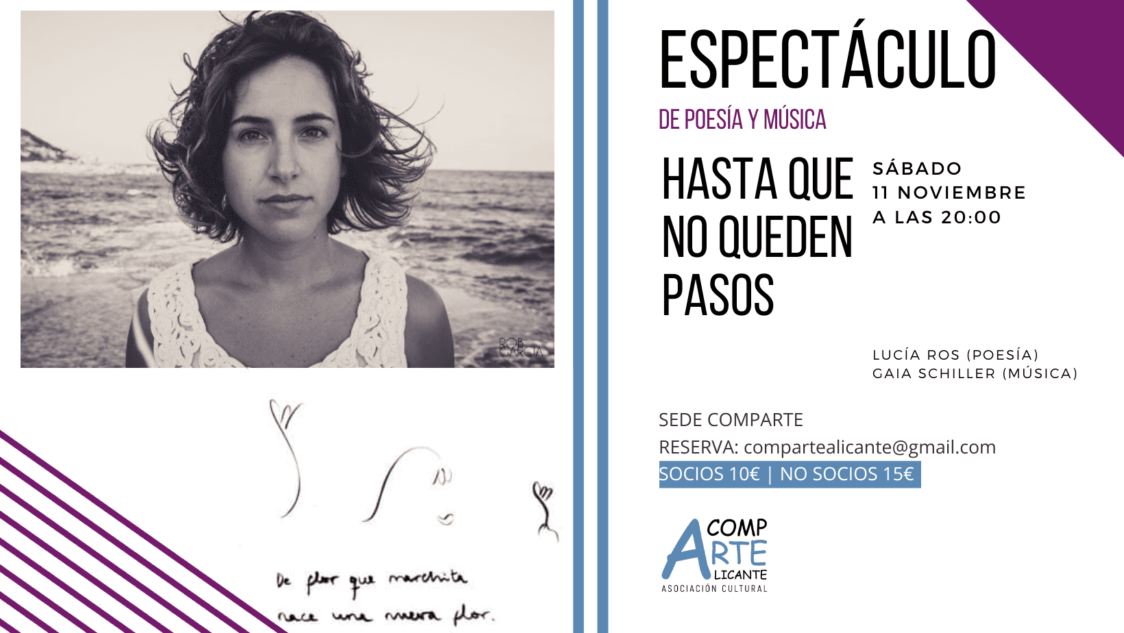 Cartel del espectáculo hasta que no queden pasos